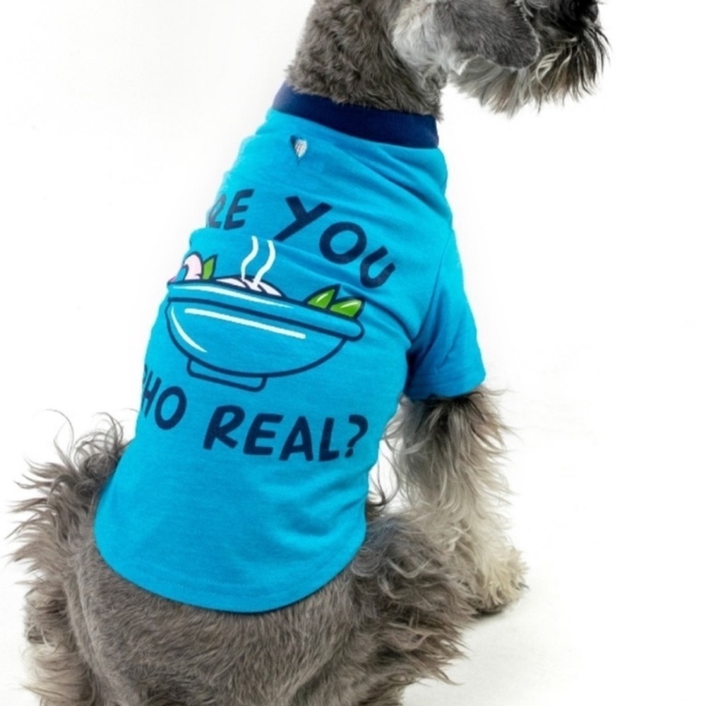Vibrant Life “Are You Pho Real” Dog T-Shirt